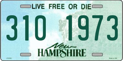 NH license plate 3101973