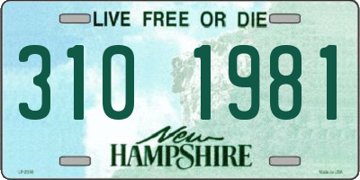 NH license plate 3101981