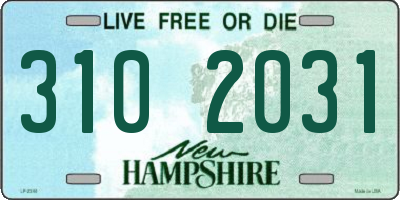 NH license plate 3102031