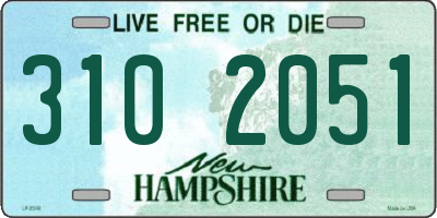 NH license plate 3102051