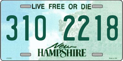 NH license plate 3102218