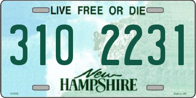 NH license plate 3102231