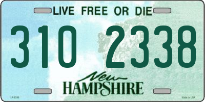 NH license plate 3102338