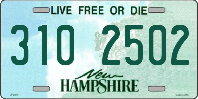 NH license plate 3102502