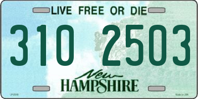 NH license plate 3102503