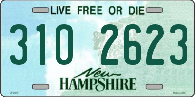 NH license plate 3102623