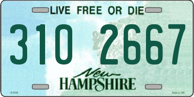 NH license plate 3102667