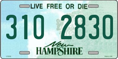 NH license plate 3102830