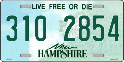 NH license plate 3102854