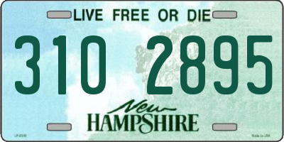 NH license plate 3102895