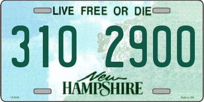 NH license plate 3102900
