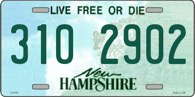 NH license plate 3102902