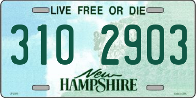 NH license plate 3102903