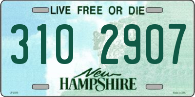NH license plate 3102907