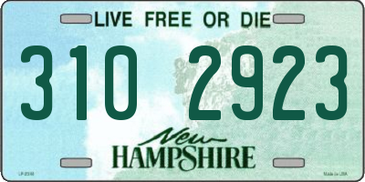 NH license plate 3102923