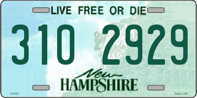 NH license plate 3102929