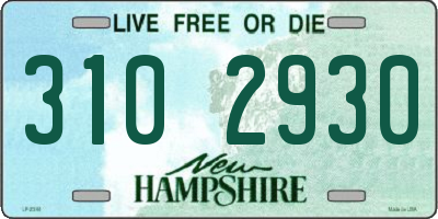 NH license plate 3102930