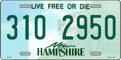 NH license plate 3102950