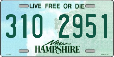 NH license plate 3102951