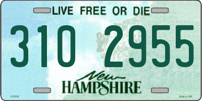 NH license plate 3102955