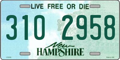 NH license plate 3102958