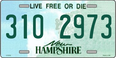 NH license plate 3102973