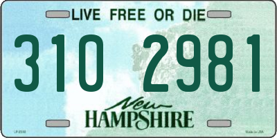 NH license plate 3102981