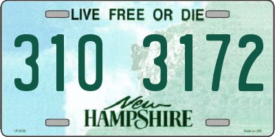 NH license plate 3103172