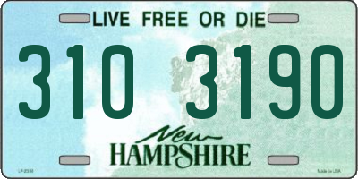 NH license plate 3103190