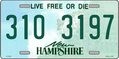 NH license plate 3103197