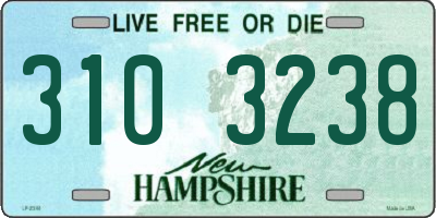 NH license plate 3103238