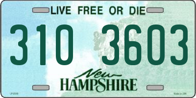 NH license plate 3103603