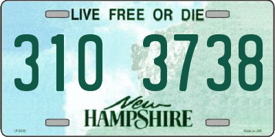 NH license plate 3103738