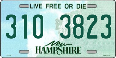NH license plate 3103823