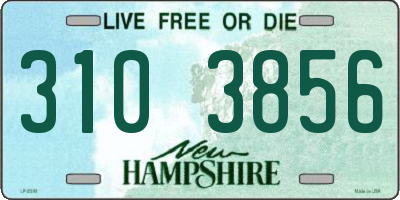 NH license plate 3103856