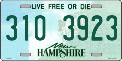 NH license plate 3103923