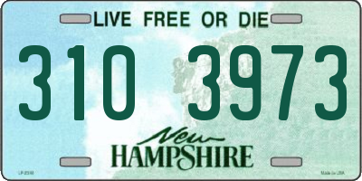 NH license plate 3103973