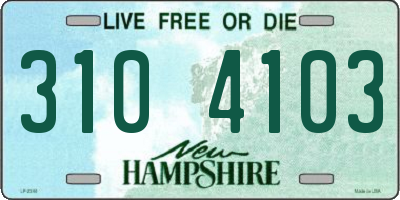 NH license plate 3104103