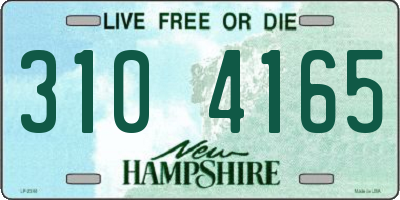 NH license plate 3104165