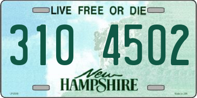 NH license plate 3104502