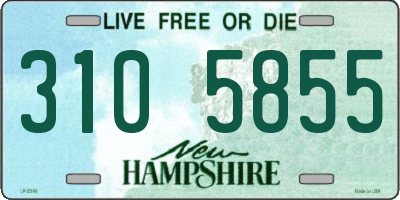 NH license plate 3105855