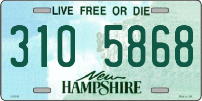 NH license plate 3105868