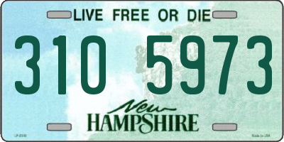 NH license plate 3105973