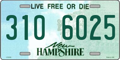 NH license plate 3106025