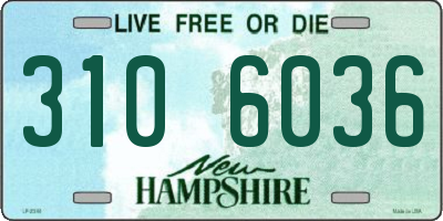 NH license plate 3106036