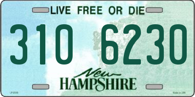 NH license plate 3106230