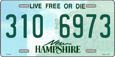 NH license plate 3106973
