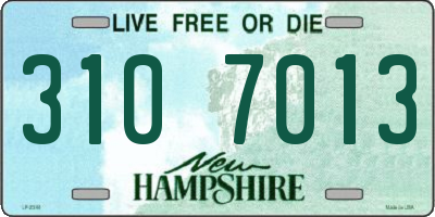 NH license plate 3107013