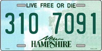 NH license plate 3107091