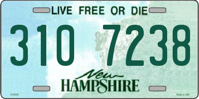 NH license plate 3107238